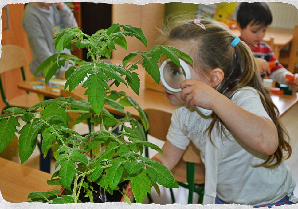 Wiosenny detektyw- konkurs