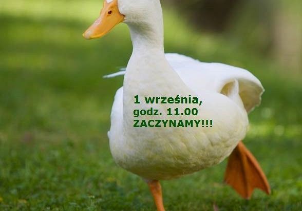 Edukacyjne rozpoczęcie roku szkolnego