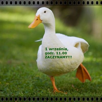 Edukacyjne rozpoczęcie roku szkolnego