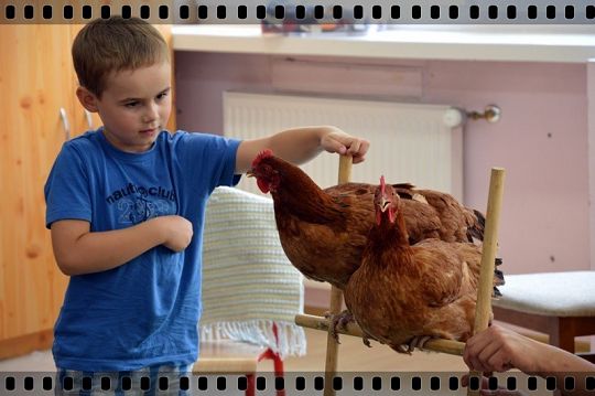 Do startu - gotowi start!