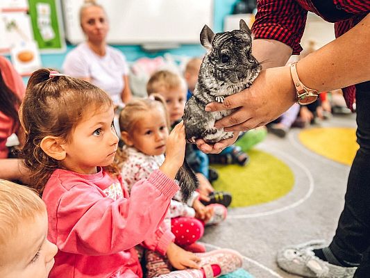 Światowy Dzień Zwierząt w Przedszkolu