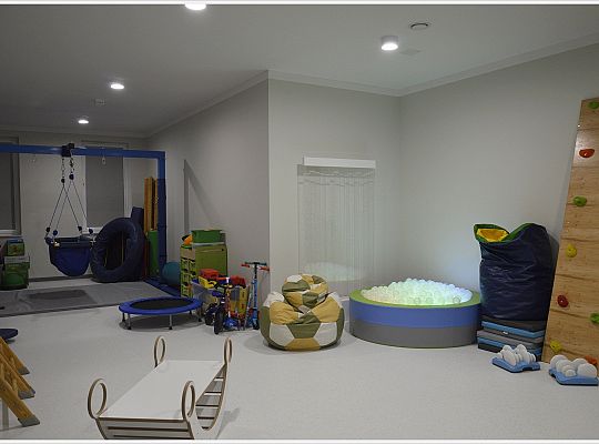 Integracja Sensoryczna