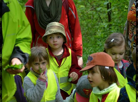 Drużyna średniaków