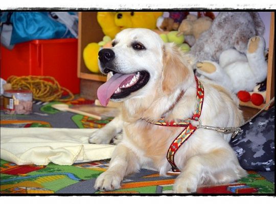 Lato, lato, lato - ejże ty….