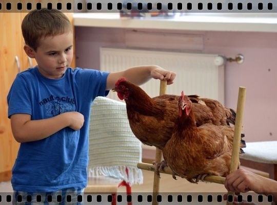 Do startu - gotowi start!