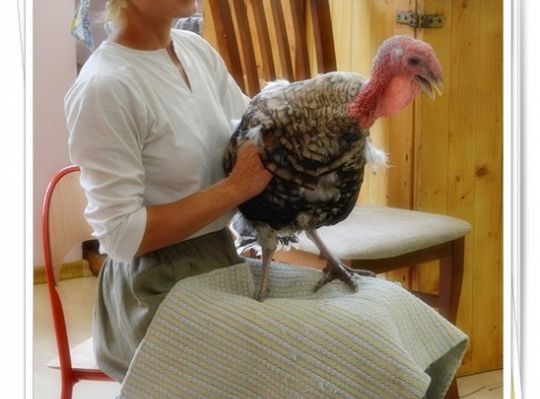 Do startu - gotowi start!