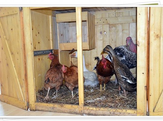 Do startu - gotowi start!