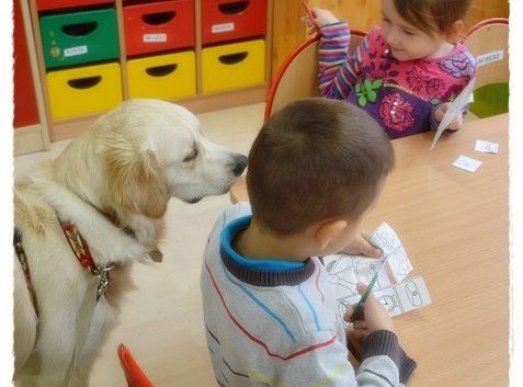 Edukacja z udziałem psa