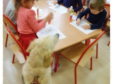Edukacja z udziałem psa