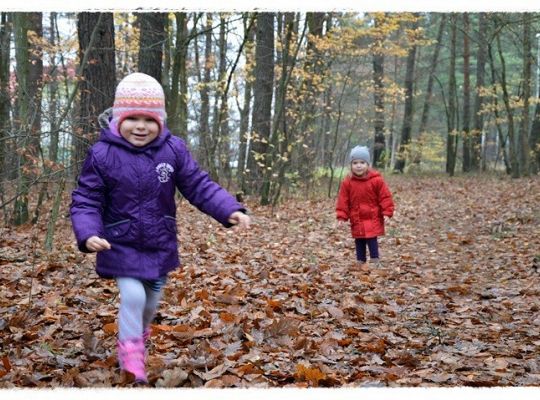 Listopadowe maluszki