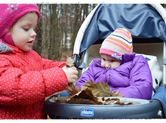 Listopadowe maluszki