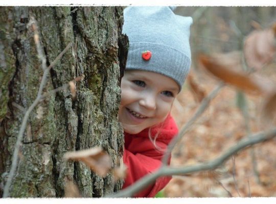 Listopadowe maluszki