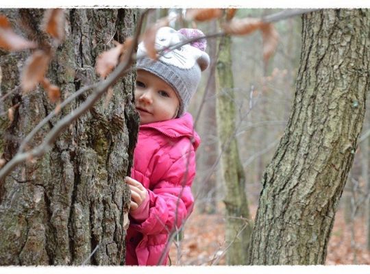 Listopadowe maluszki