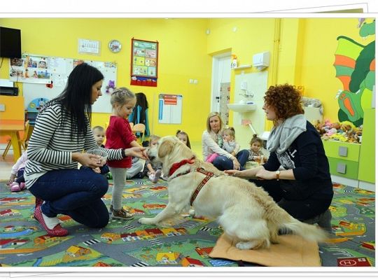 Edukacja z udziałem psa - maluszki