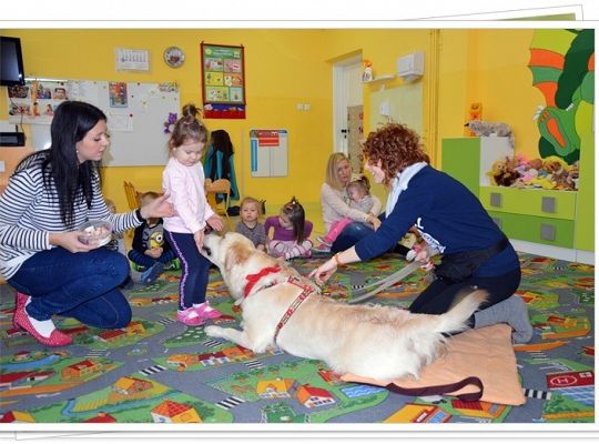 Edukacja z udziałem psa - maluszki