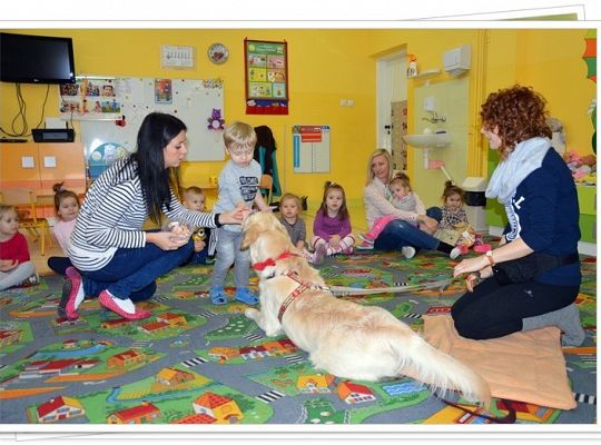 Edukacja z udziałem psa - maluszki