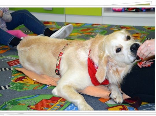 Edukacja z udziałem psa - maluszki