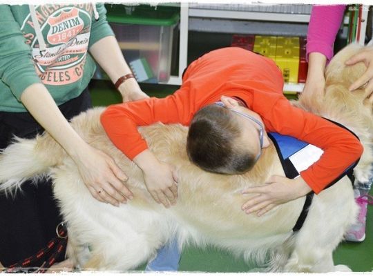 Edukacja z udziałem psa i zumba dla dzieci