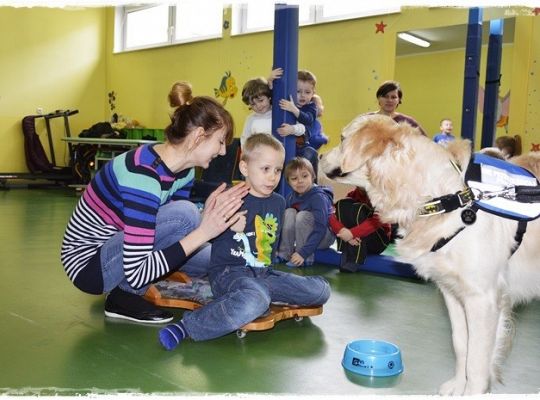 Edukacja z udziałem psa i zumba dla dzieci