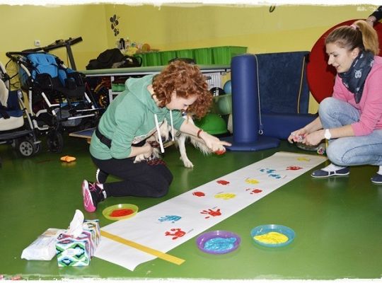 Edukacja z udziałem psa i zumba dla dzieci