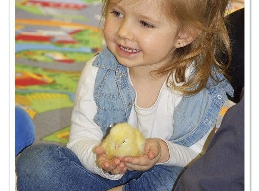  Wycieczka do Wylęgarni Drobiu