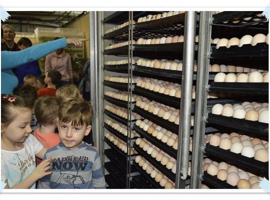  Wycieczka do Wylęgarni Drobiu