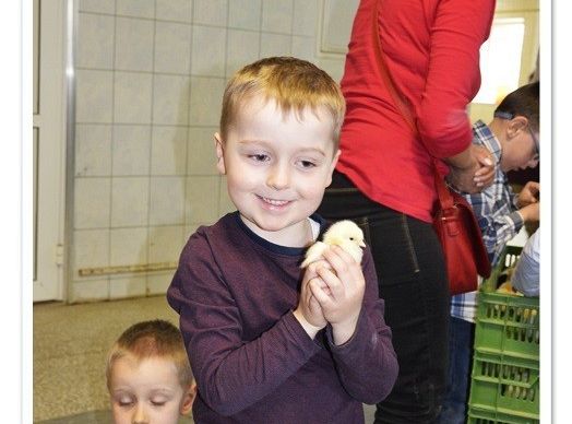  Wycieczka do Wylęgarni Drobiu