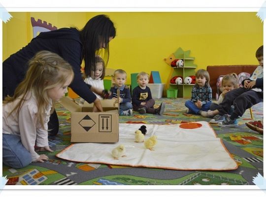  Wycieczka do Wylęgarni Drobiu