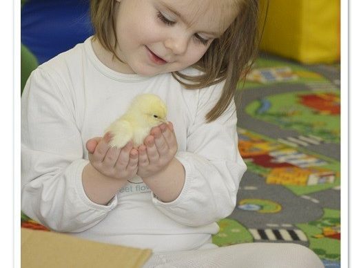  Wycieczka do Wylęgarni Drobiu