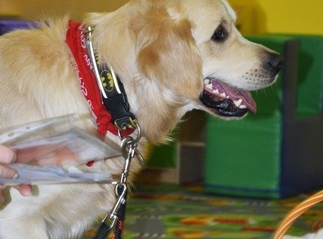 Edukacja z udziałem psa - maluszki