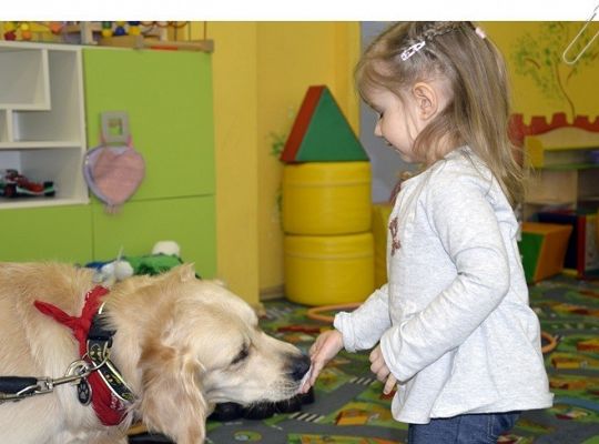 Edukacja z udziałem psa - maluszki