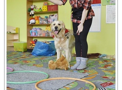 Edukacja z udziałem psa - średniaczki