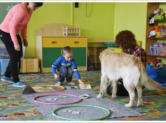 Edukacja z udziałem psa - średniaczki