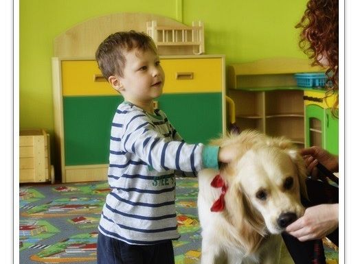 Edukacja z udziałem psa - średniaczki