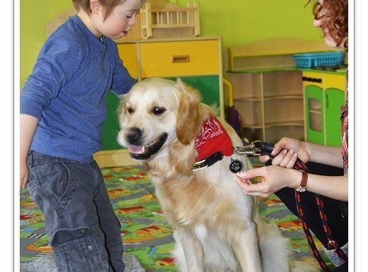 Edukacja z udziałem psa - średniaczki