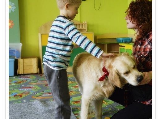 Edukacja z udziałem psa - średniaczki