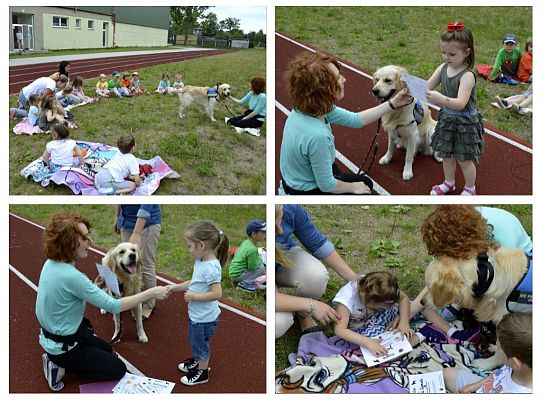 Niko życzy udanych wakacji