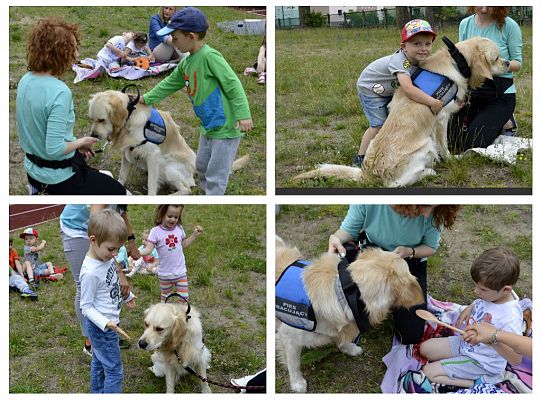 Niko życzy udanych wakacji