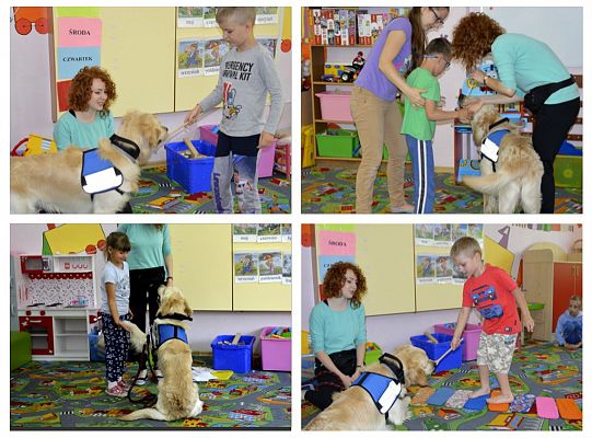 Niko życzy udanych wakacji