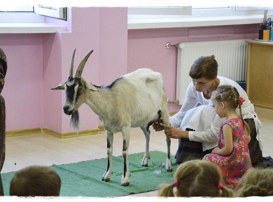 Przedszkolna przygoda się zaczęła!