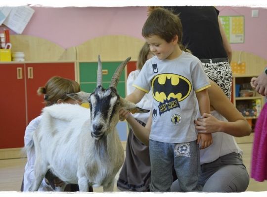 Przedszkolna przygoda się zaczęła!