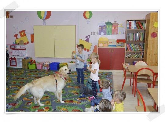 Zajęcia dodatkowe rozpoczęła dogoterapia w starszakach.