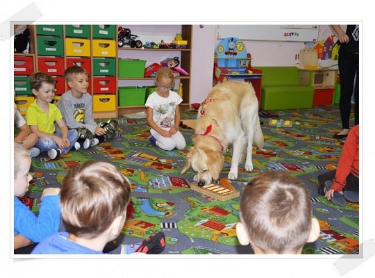 Zajęcia dodatkowe rozpoczęła dogoterapia w starszakach.
