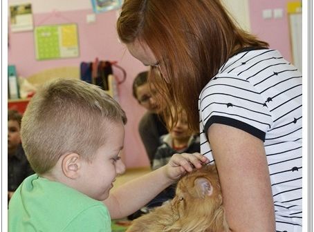 Panie, Panowie 17 lutego obchodzimy  Światowy Dzień KOTA !