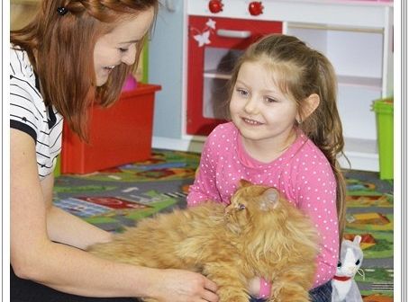 Panie, Panowie 17 lutego obchodzimy  Światowy Dzień KOTA !