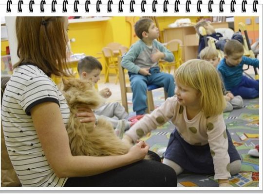 Panie, Panowie 17 lutego obchodzimy  Światowy Dzień KOTA !