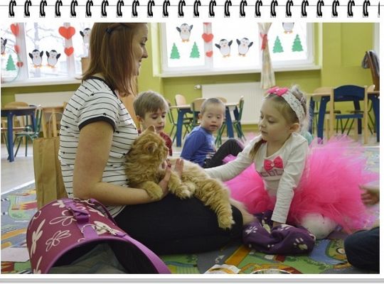 Panie, Panowie 17 lutego obchodzimy  Światowy Dzień KOTA !