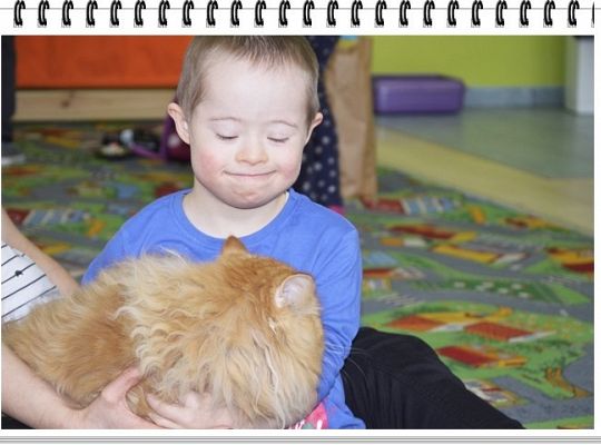 Panie, Panowie 17 lutego obchodzimy  Światowy Dzień KOTA !