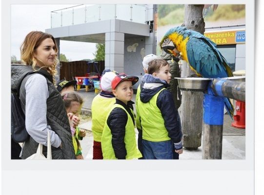 Dzień dziecka - wycieczka do egzotycznego zoo