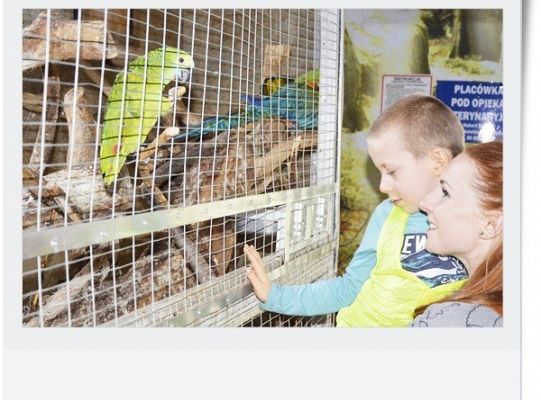 Dzień dziecka - wycieczka do egzotycznego zoo